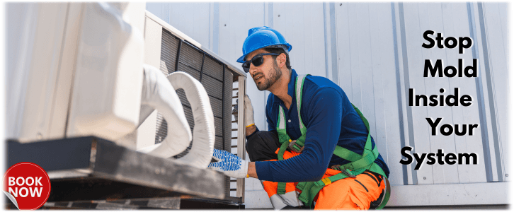 HVAC Mold Removal Beverly MA